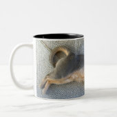 ブルーアビシニアンの男性が伸びる ツートーンマグカップ (左)