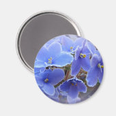 ブルーアフリカスミレ マグネット (正面/裏面)