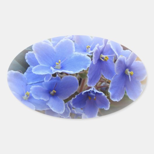 ブルーアフリカスミレ 楕円形シール (正面)