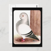 ブルーアフリカフクロウハト ポストカード (正面/裏面)