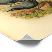 ブルーアルファククッコシュリークバードヴィンテージプリント ポスター (角)