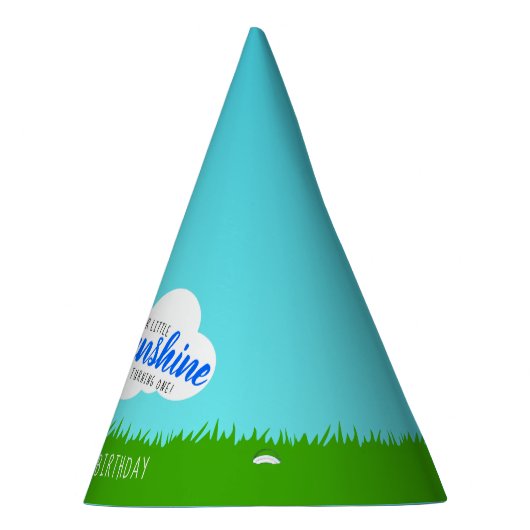 ブルーアンドイエローサンシャイン誕生日 パーティーハット (右)