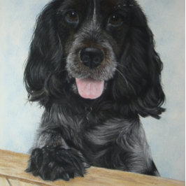 ブルーイングリッシュコックスペイン非常にかわいい犬 ジグソーパズル