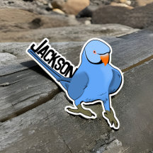 ブルーインディアンリングネックオウムPet鳥の名前かわいいおもしろい