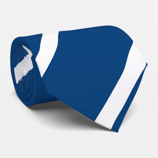 ブルーインディカスタムレジメンタルストライプ ネクタイ (ロール)