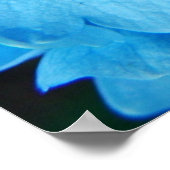 ブルーインプレッション（アジサイ） ポスター (角)