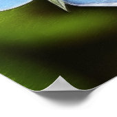 ブルーインペネル(Anagallis monelli)花 ポスター (角)