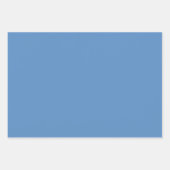 ブルーイースターラッピング紙シートセット – 19"x29" ラッピングペーパーシート (正面2)