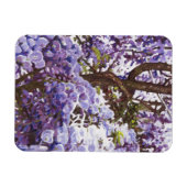 ブルーウィステリア2011 マグネット (横)