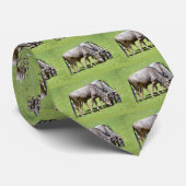 ブルーウィル食べ物を与えデベスト ネクタイ (ロール)