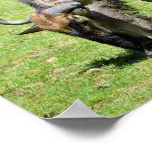 ブルーウィル食べ物を与えデベスト ポスター (角)