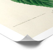 ブルーウィングイエローウォーブラーオードボンポスター ポスター (角)