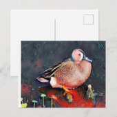 ブルーウィングティール（緑がかった色） ポストカード (正面/裏面)