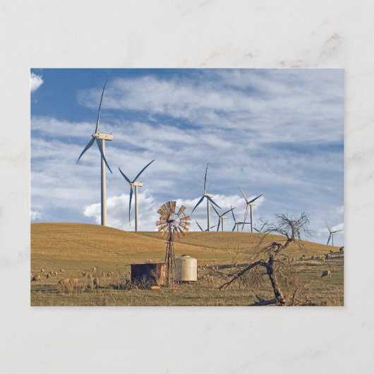 ブルーウィンドはがき ポストカード (正面)