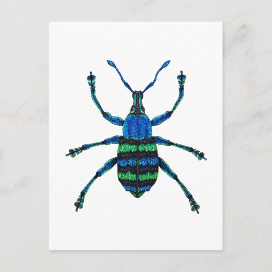 ブルーウィービル ポストカード (正面)