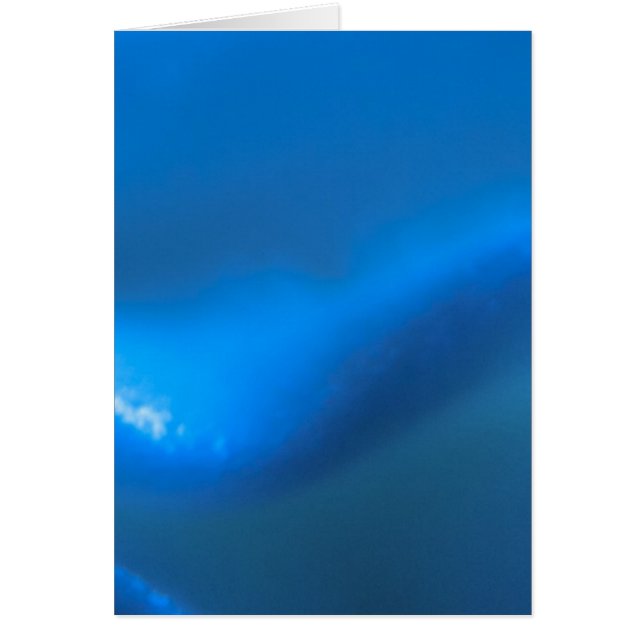 ブルーウェーブドリーム (正面)