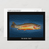 ブルーウォーターにゴールデン・マス、ポストカード ポストカード (正面/裏面)