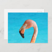 ブルーウォーターに対するピンクフラミンゴ顔オン ポストカード (正面/裏面)