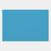 ブルーウォーターベビーゾウ包み紙 ラッピングペーパーシート (正面3)