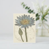 ブルーウォーターリリーイラストレーション ポストカード (スタンド正面)