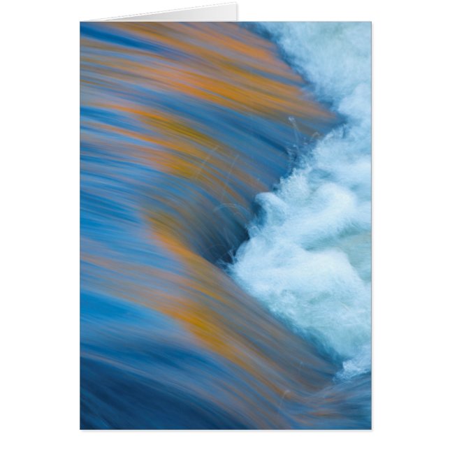 ブルーウォーター抽象芸術（カナダ） (正面)