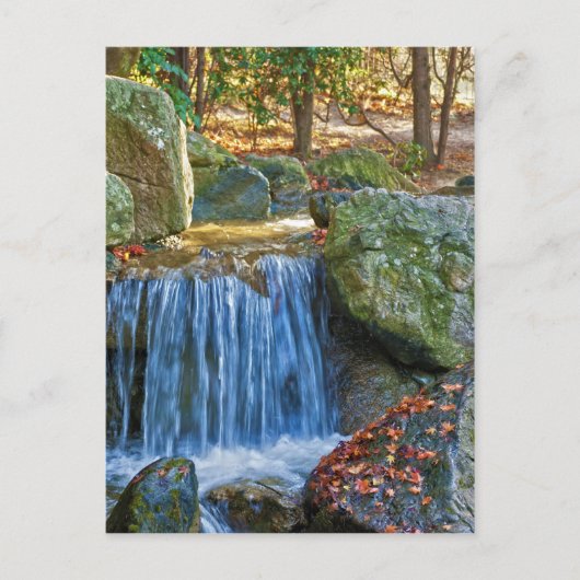 ブルーウォーター春 ポストカード (正面)