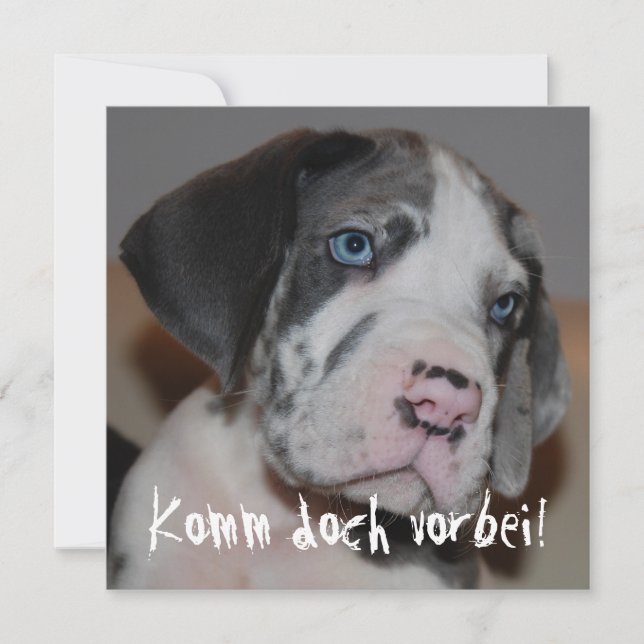 ブルーエオーゲンドゲンウェルペ (正面)