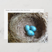 ブルーエッグ ポストカード (正面/裏面)