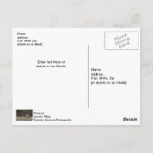 ブルーエルクの朝の散歩 ポストカード ポストカード (裏面)