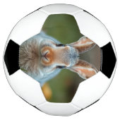 "ブルーエレガンス：バニーロシアの" サッカーボール (回転)