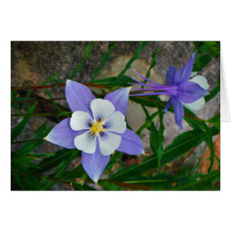 ブルーオダマキ（植物）