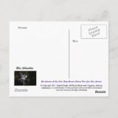 ブルーオダマキ(植物)アットファーン秋 ポストカード (裏面)