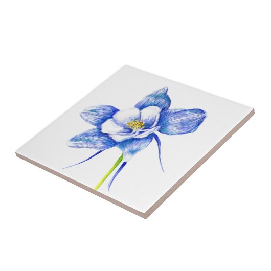 ブルーオダマキ(植物) タイル (側面)