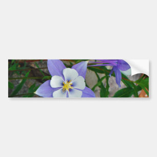 ブルーオダマキ（植物） バンパーステッカー
