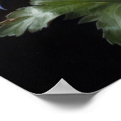 ブルーオダマキ（植物）フラワーズアートプリントポスター ポスター (角)