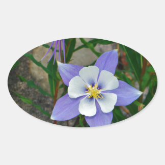 ブルーオダマキ(植物) 楕円形シール
