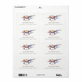 ブルーオレンジ赤面水彩空気飛行機アドレス ラベル (フルシート)