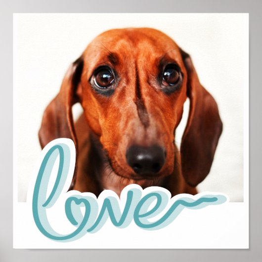 ブルーカスタムタイポグラフィのペットポスタモダンー ポスター (正面)