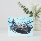 ブルーカニを捕まえる ポストカード (スタンド正面)