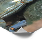 ブルーカニ – ノースカロリンで良い生活を生きる ポスター (角)