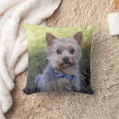 ブルーカラーとのヨークシャーテリア クッション (ブランケット)