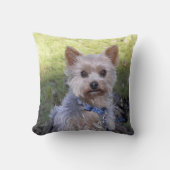 ブルーカラーとのヨークシャーテリア クッション (正面)