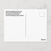 ブルーガルベストンポストカード ポストカード (裏面)