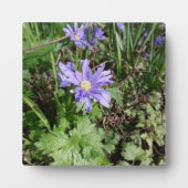 ブルーガーデンの花 フォトプラーク (正面)