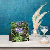 ブルーガーデンの花 フォトプラーク (インサイチュ)