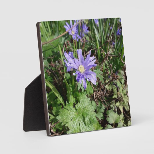 ブルーガーデンの花 フォトプラーク (正面)