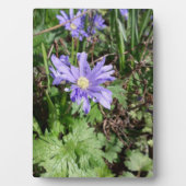 ブルーガーデンの花 フォトプラーク (正面)