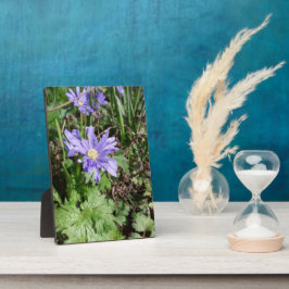 ブルーガーデンの花 フォトプラーク