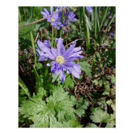 ブルーガーデンの花 ポスター