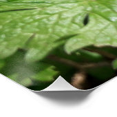 ブルーガーデンの花 ポスター (コーナー)